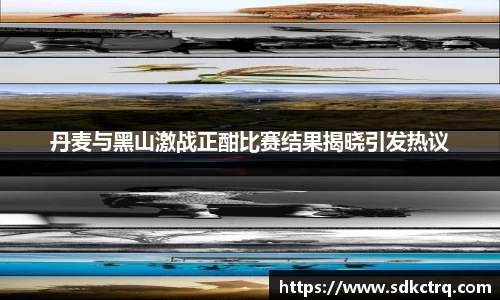 丹麦与黑山激战正酣比赛结果揭晓引发热议